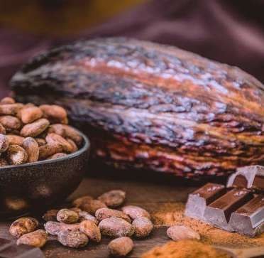 Cacao de Amazonas
