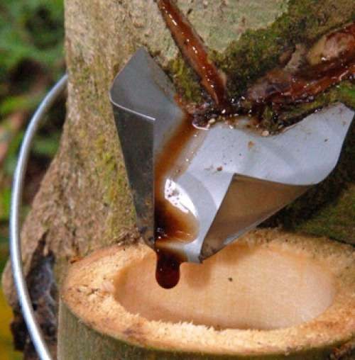 Extractos naturales